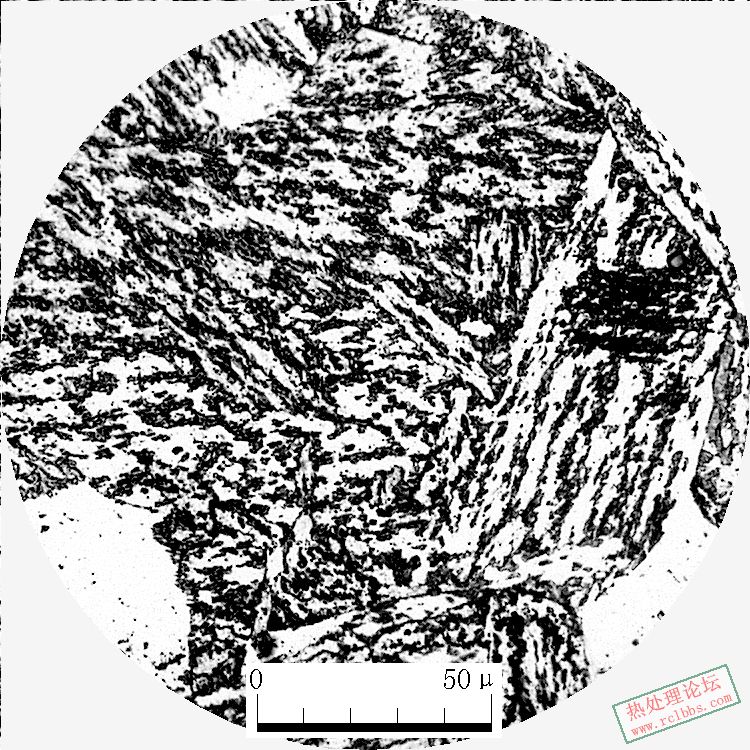10-500x-2.JPG