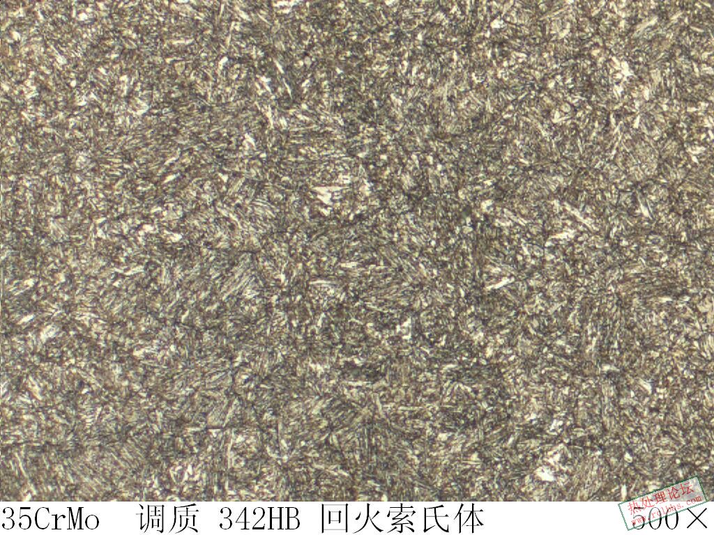 35CrMo 调质.JPG