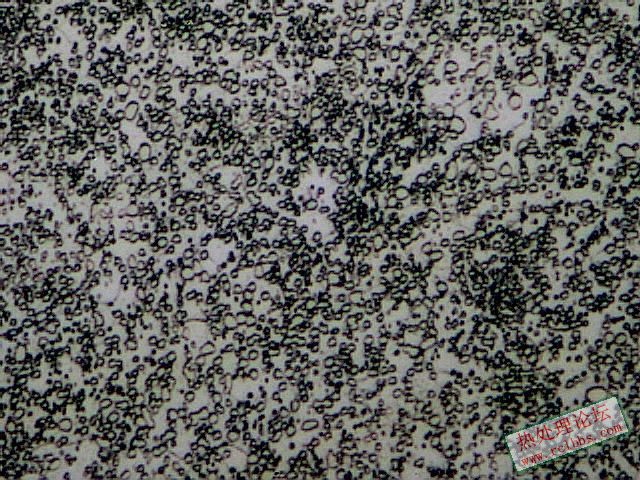 轴承钢球化退火组织1000X