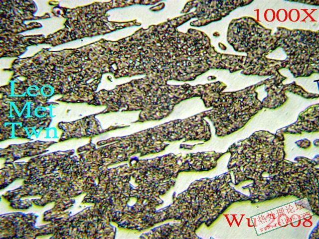P1013851E.jpg