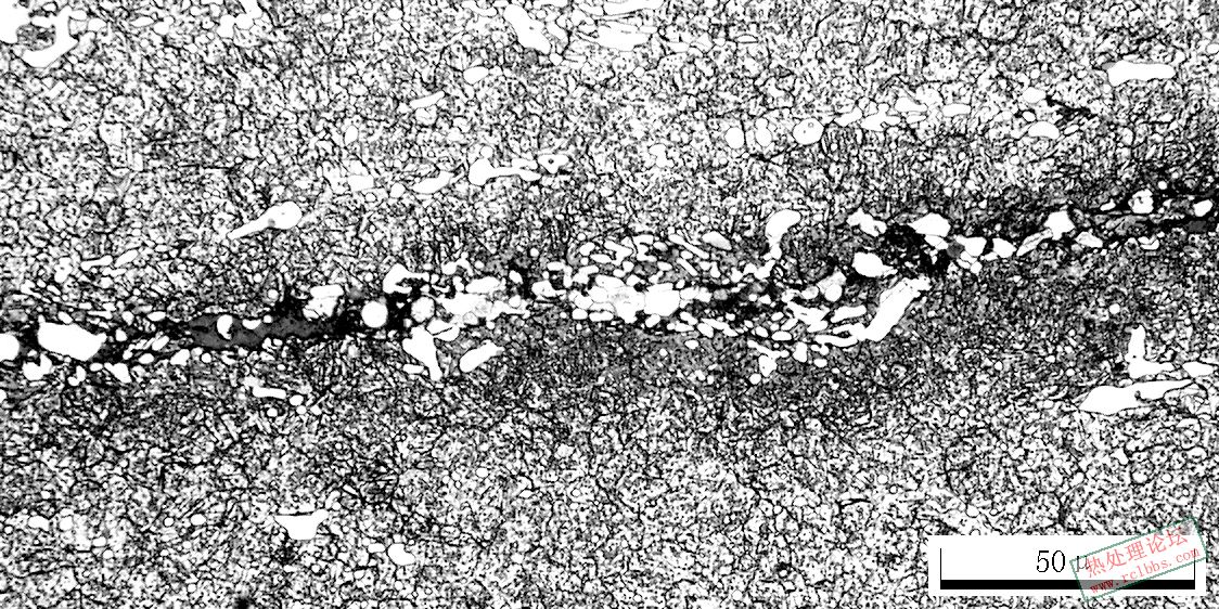 C12MoV 100X-7.JPG