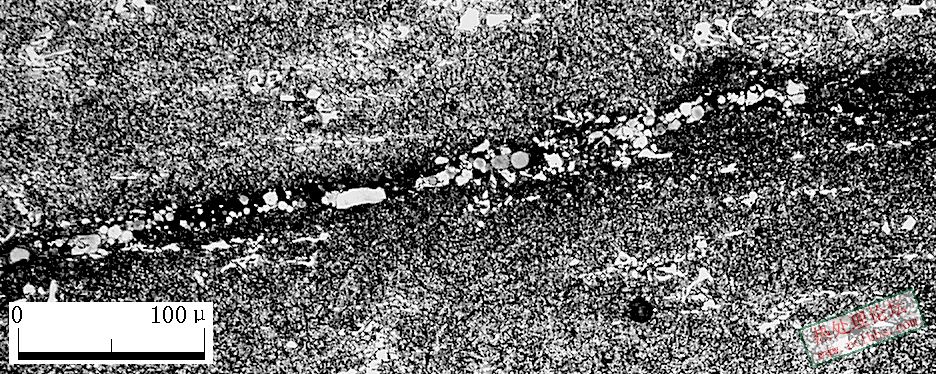C12MoV 100X-8.JPG