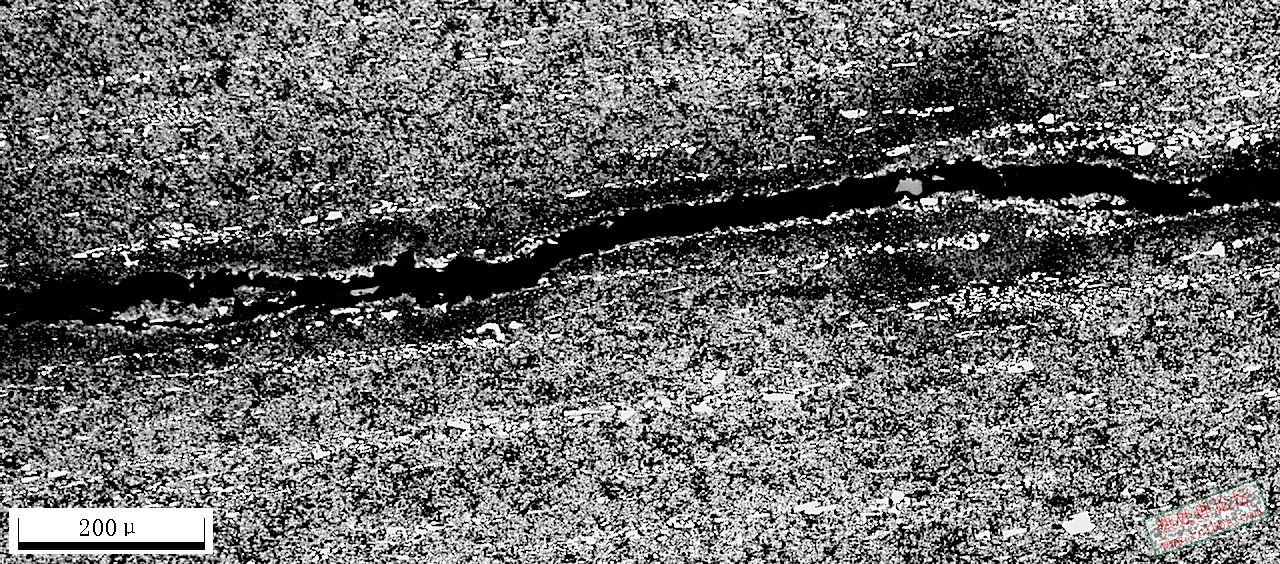 C12MoV 500X-11.JPG