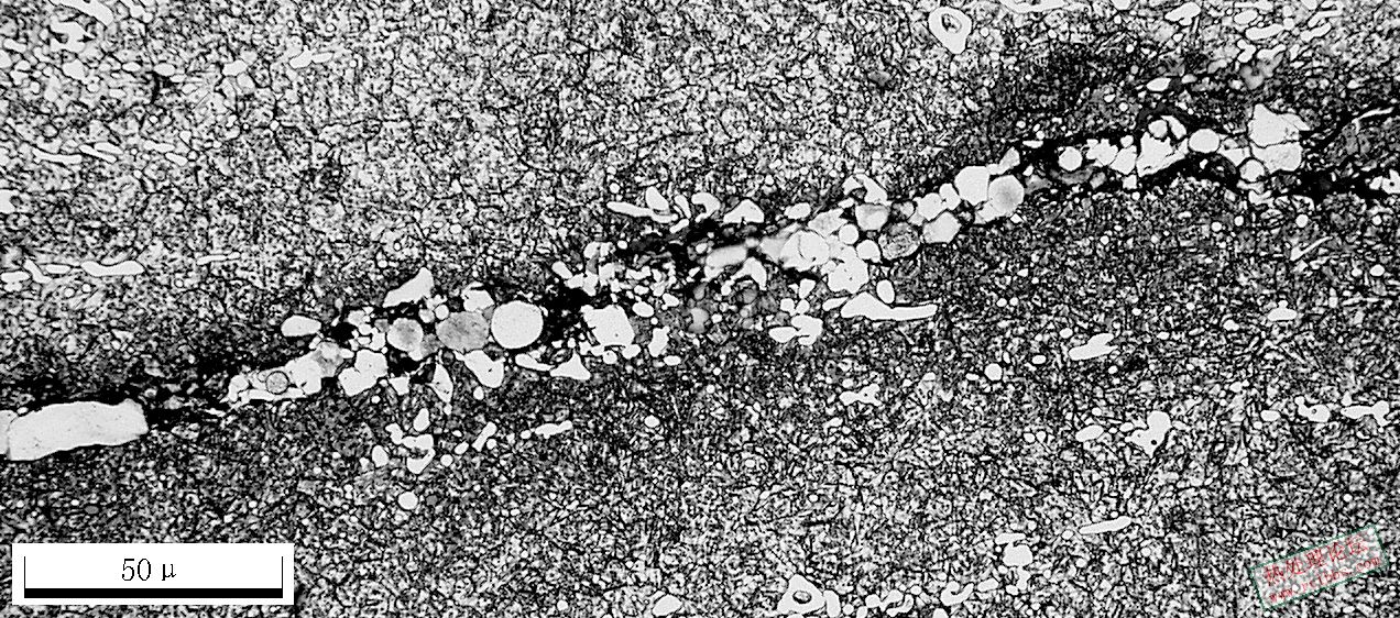 C12MoV 100X-9.JPG