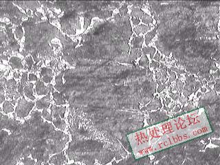 锻造后金相照片100倍