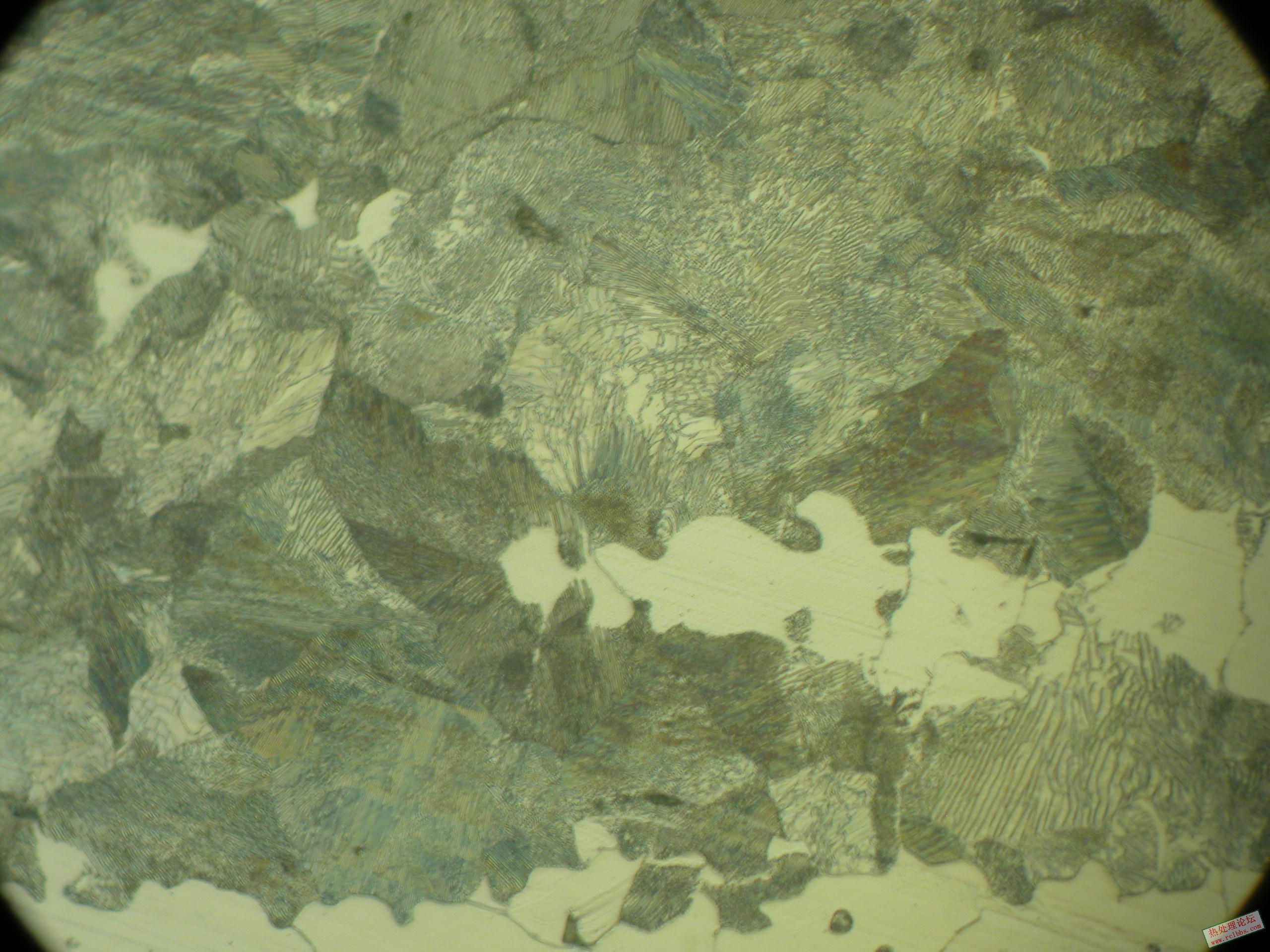 DSCN0020.JPG