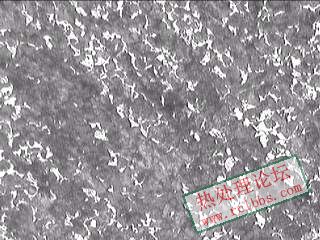 原材料金相照片100倍