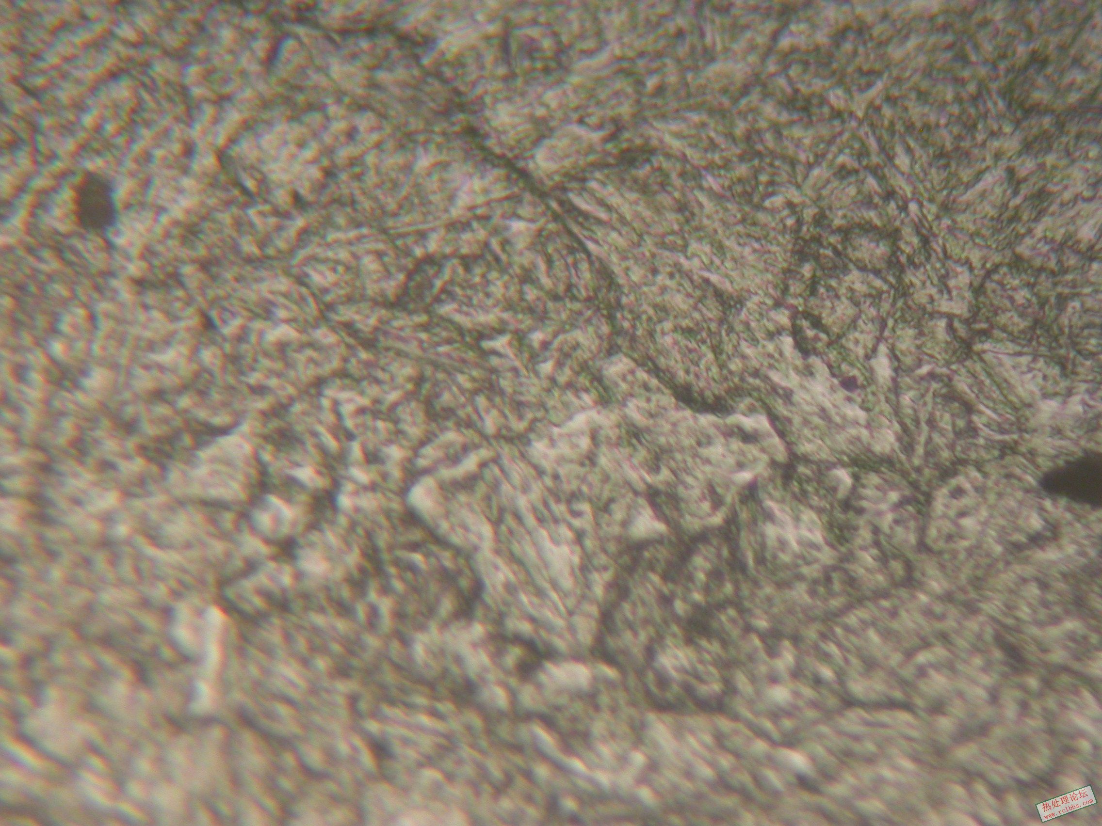 200C.JPG