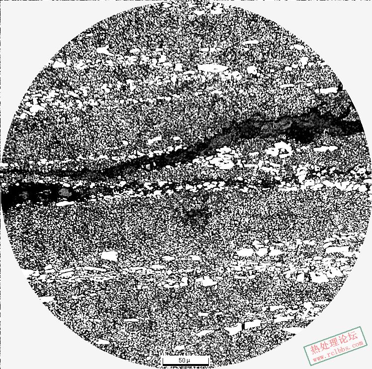 Cr12MoV200X-1.JPG