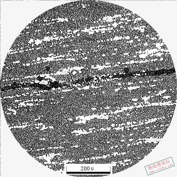 Cr12MoV100X-6.JPG