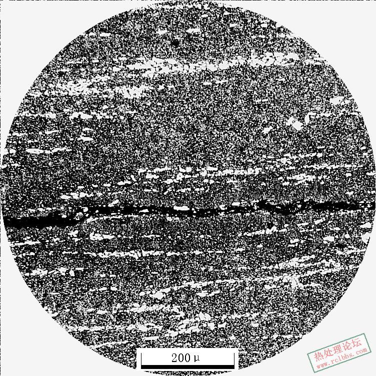Cr12MoV100X-1.JPG