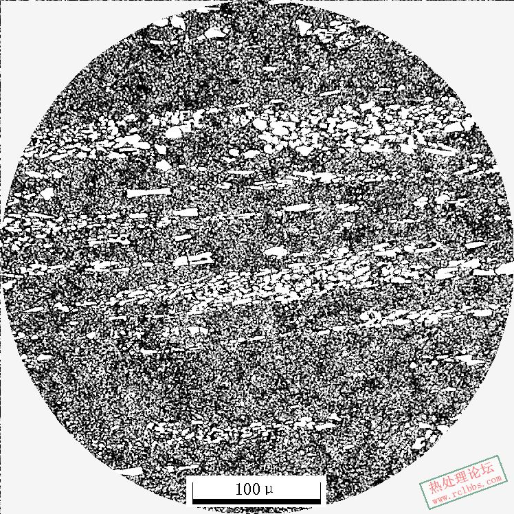 Cr12MoV200X-8.JPG