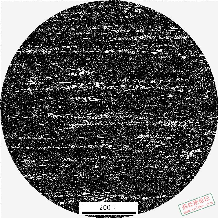 Cr12MoV200X-9.JPG