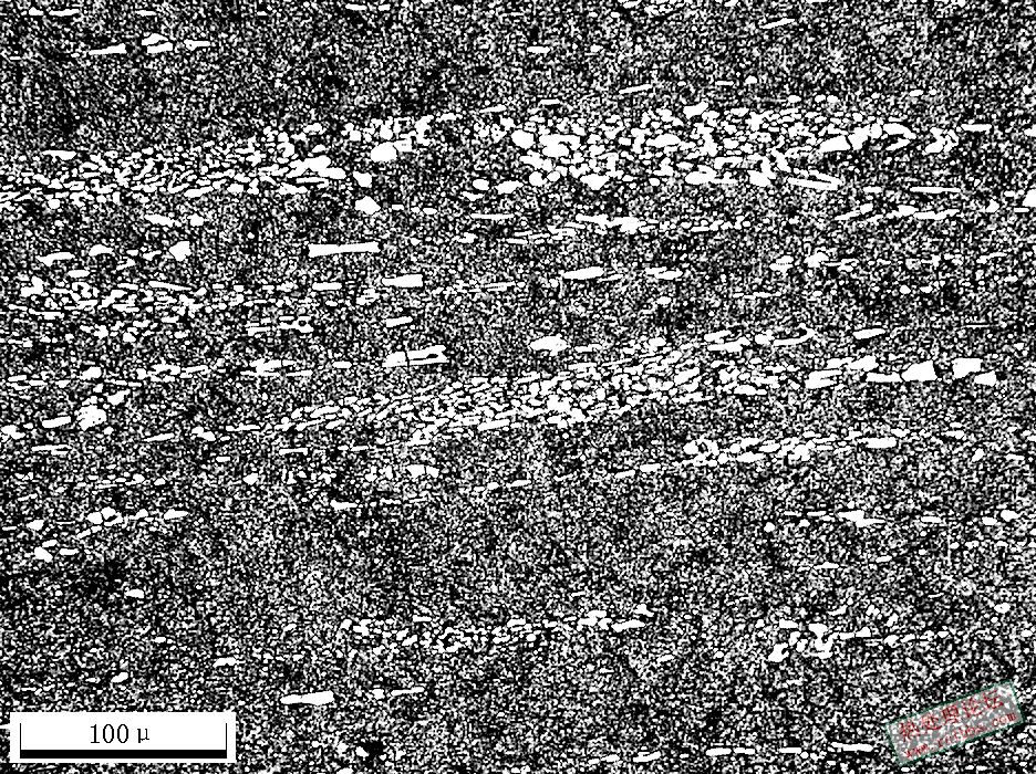 Cr12MoV200X-7.JPG