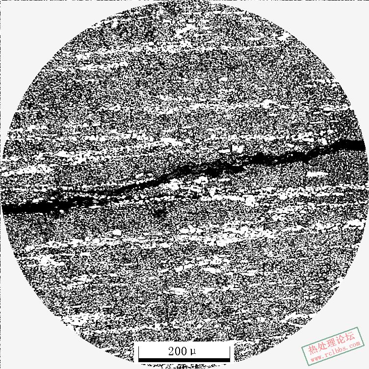 Cr12MoV100X-2.JPG