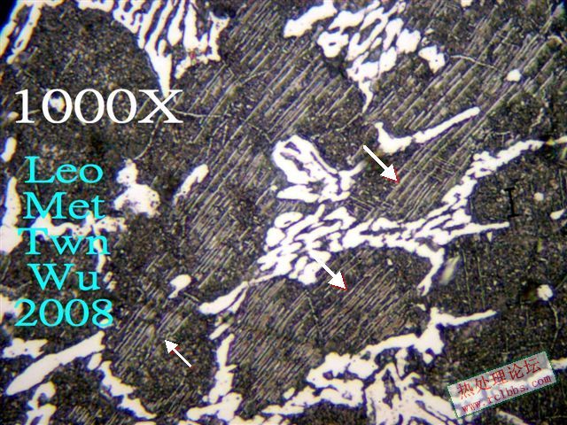 X1013691.jpg
