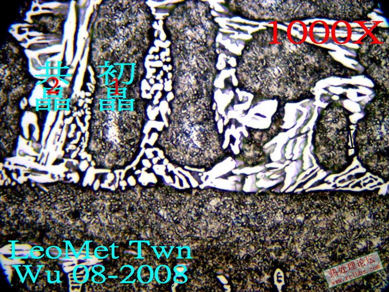 HiCr E.jpg