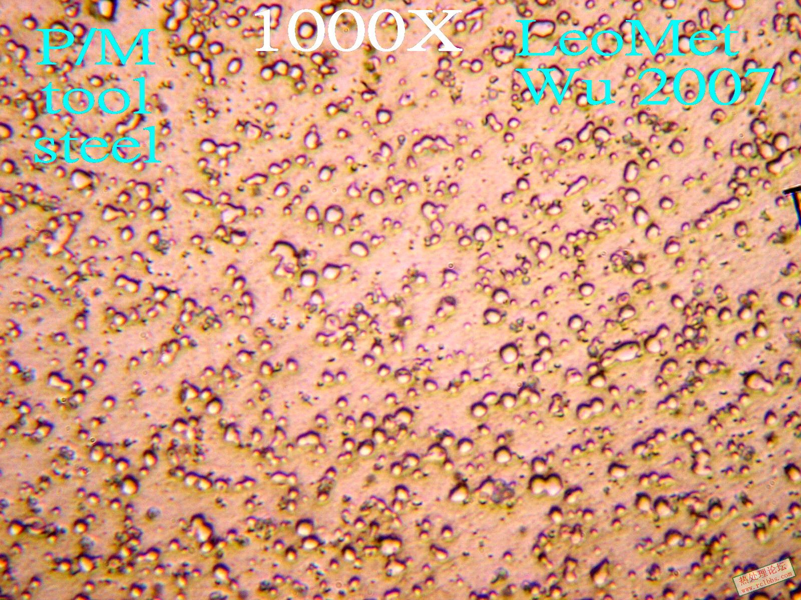 pm 1000_1.jpg
