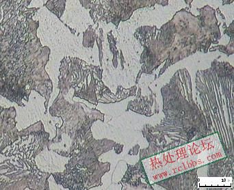 中碳钢退火.JPG