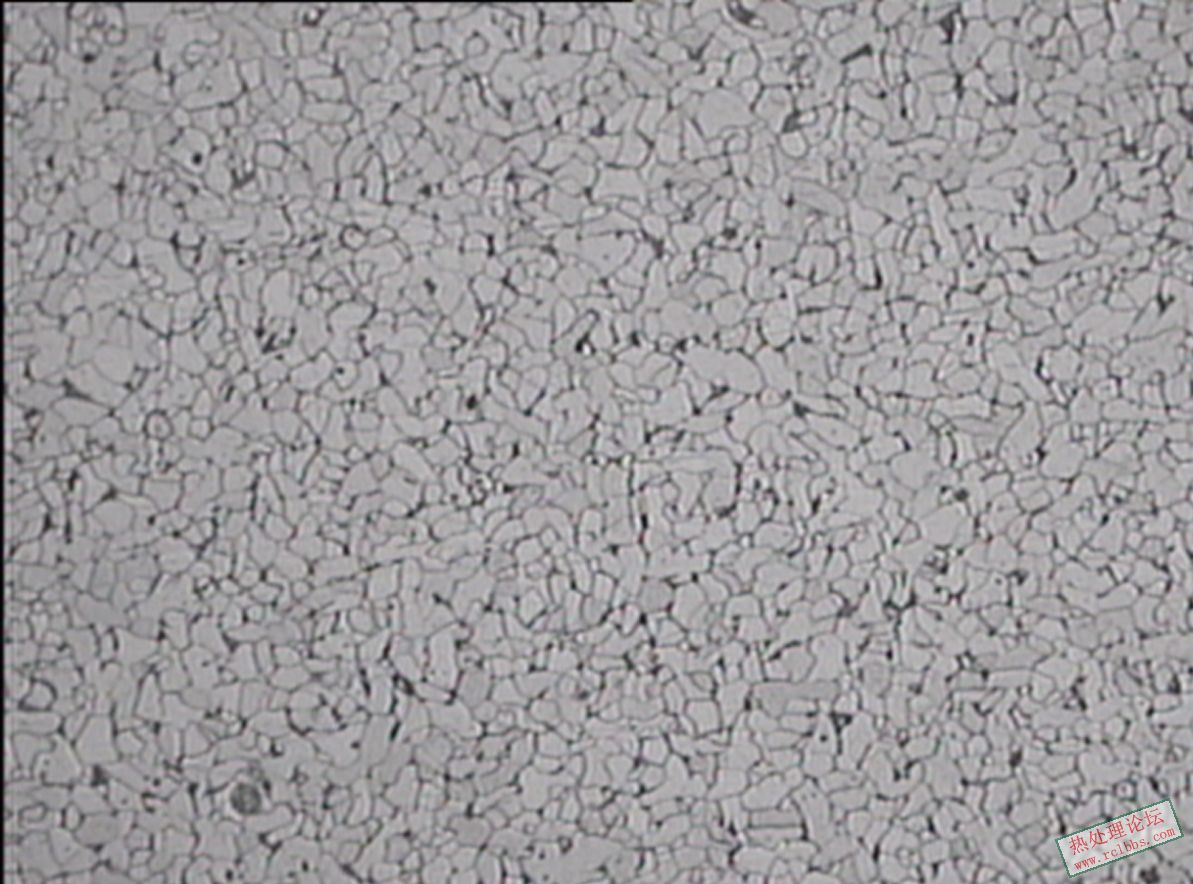 7800-100.jpg