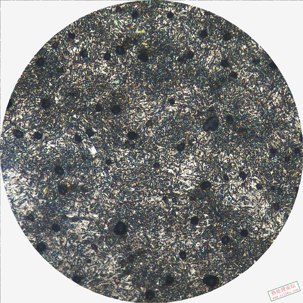 45钢淬火组织500X.JPG