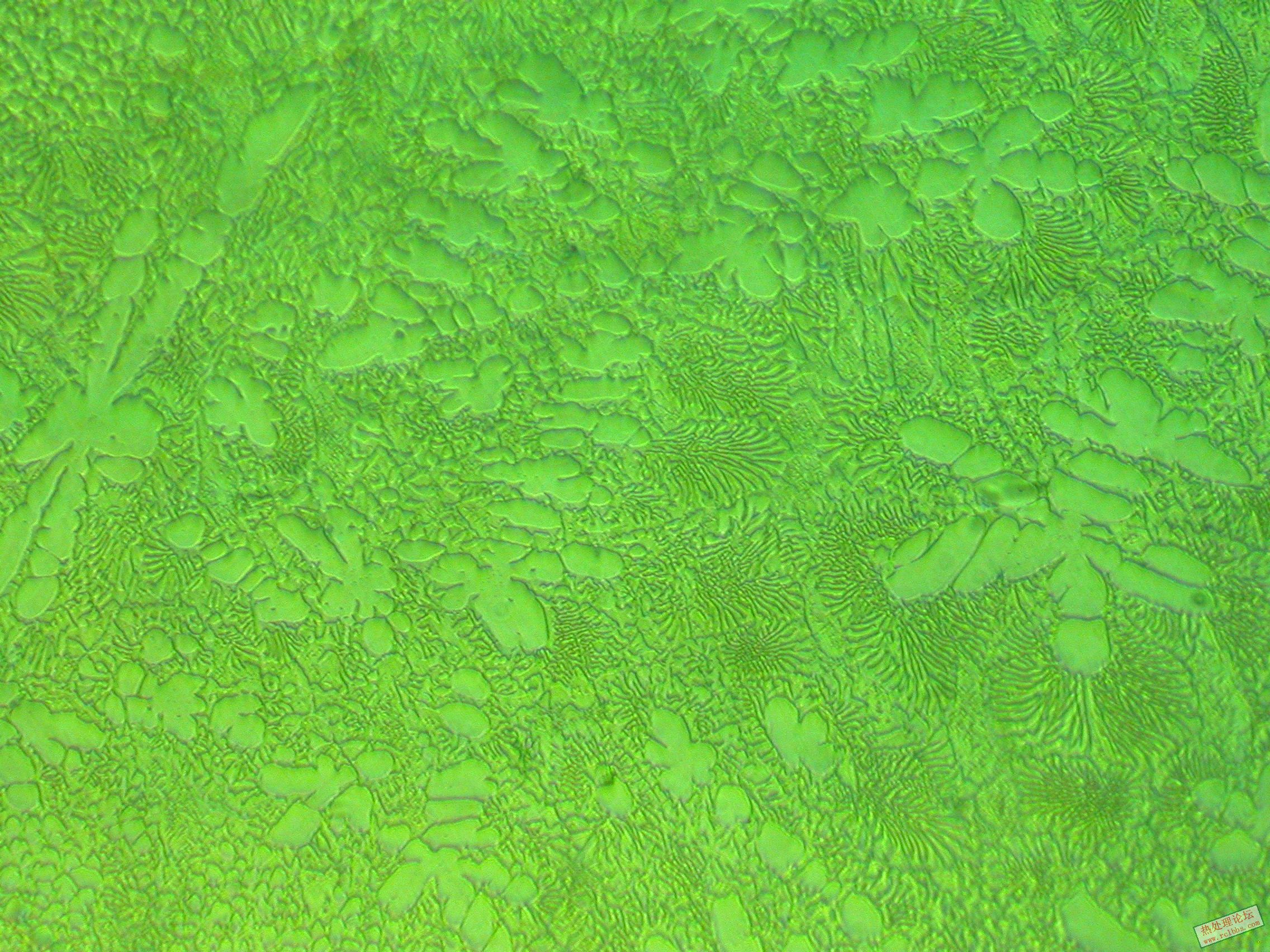 DSCN6106.JPG
