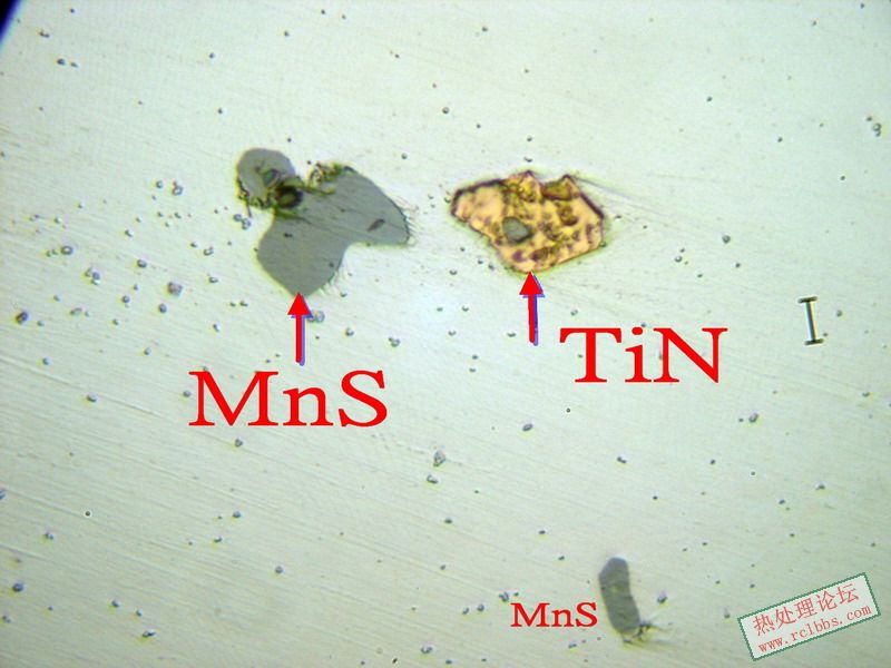 P1014215.jpg