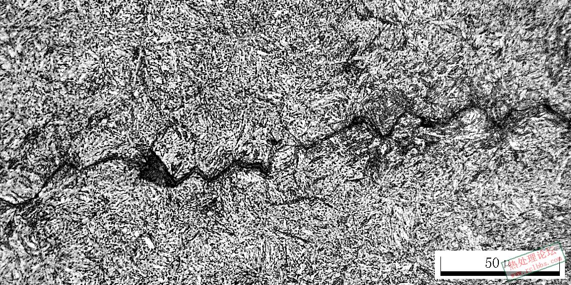 500X-2-4.JPG