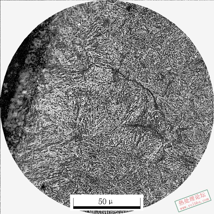 500X-2-7.JPG