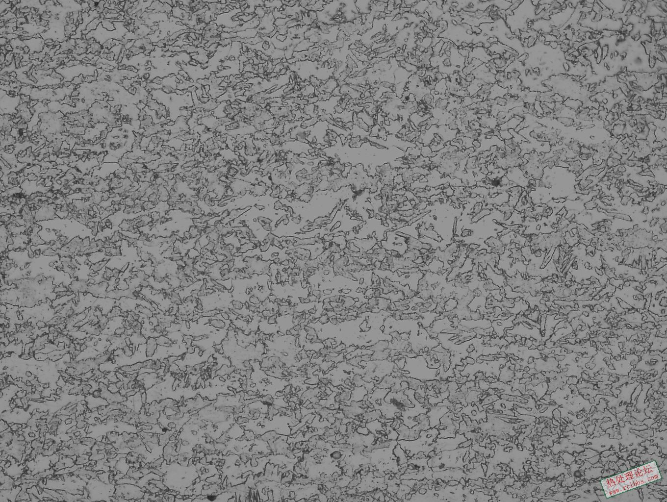 500x