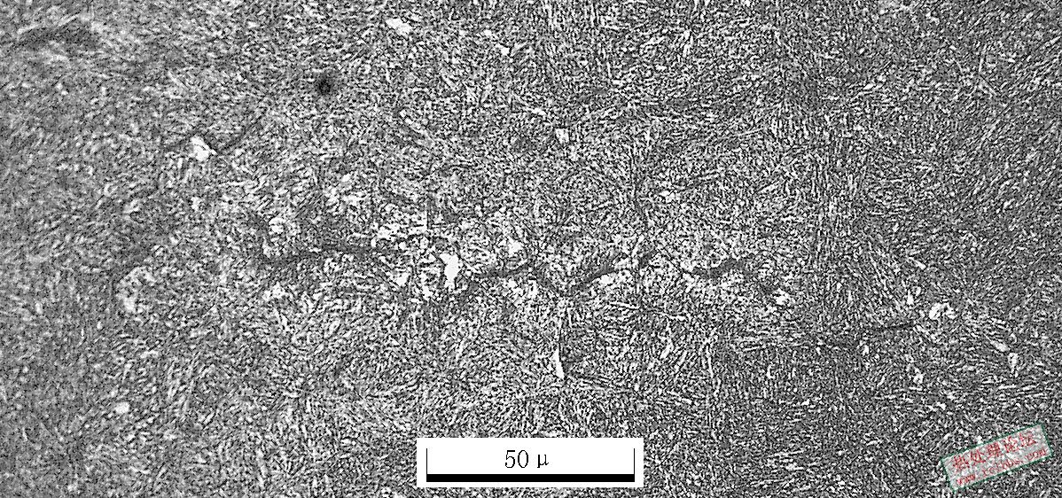 500X-2-8.JPG