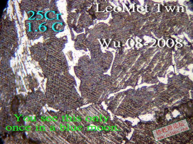 P1014388_E.jpg