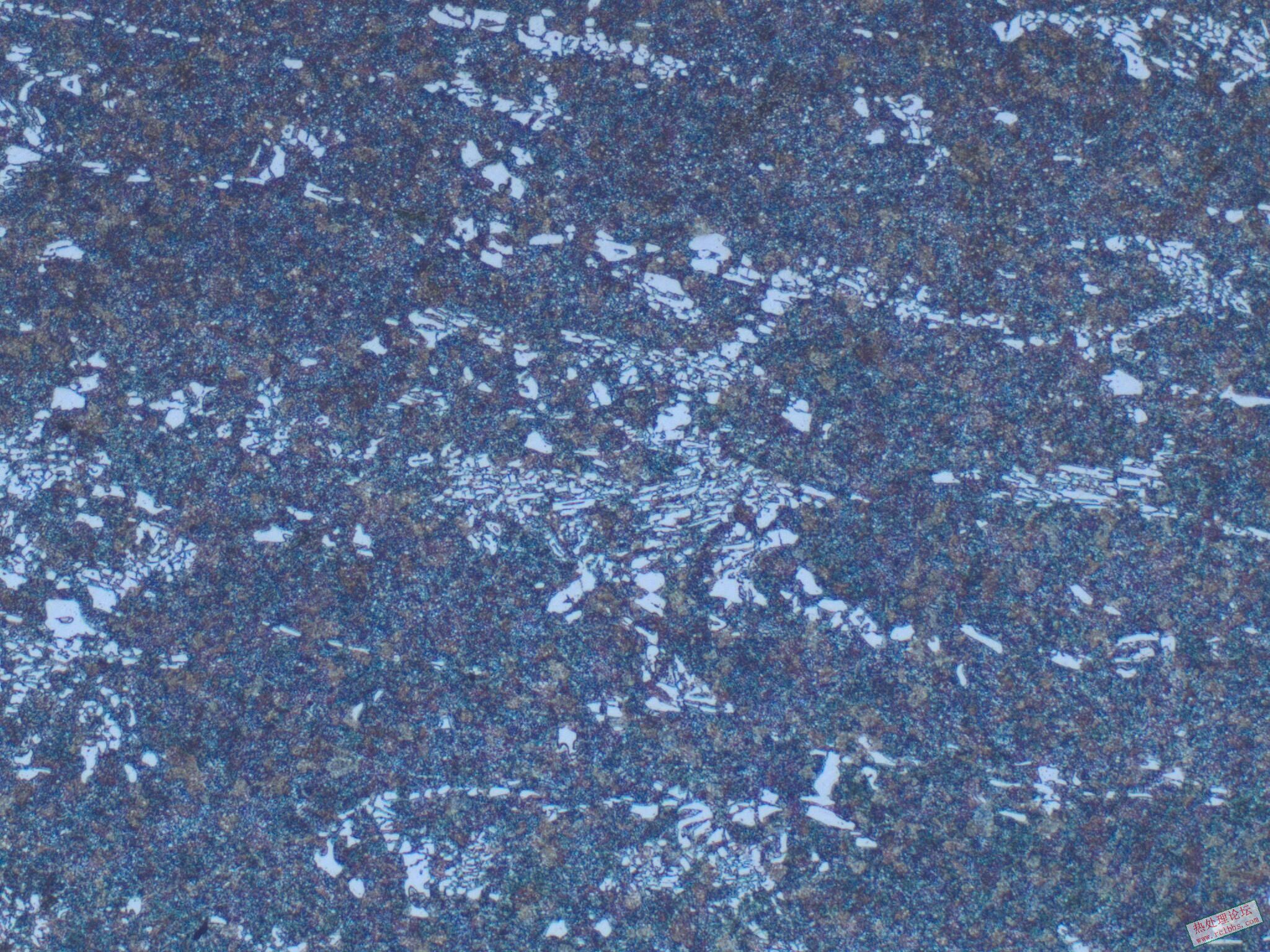 100X-3.jpg