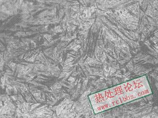 500倍.JPG