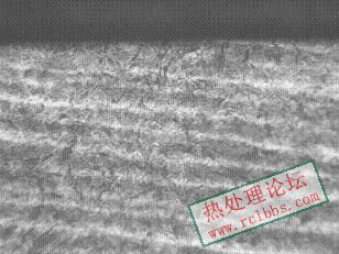 100倍2.JPG