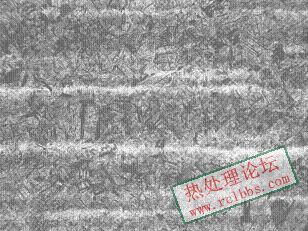 100倍1.JPG