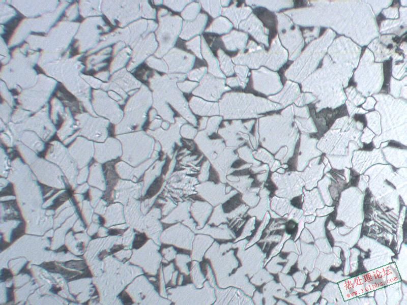 0722冲击18组织100X6.JPG