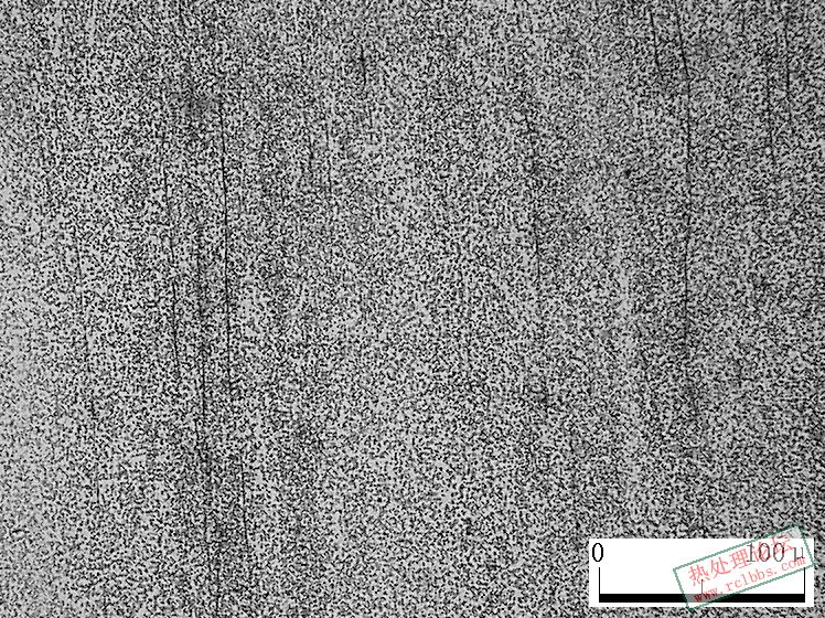 65Mn开关原材料200X.JPG