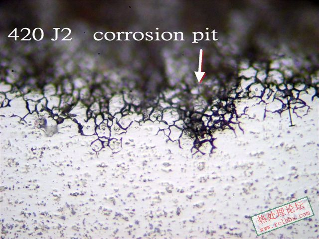 P1015311D.jpg