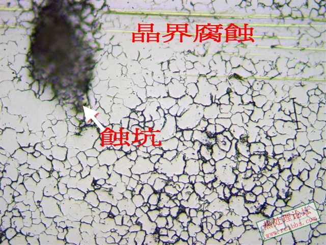 P1015492.jpg