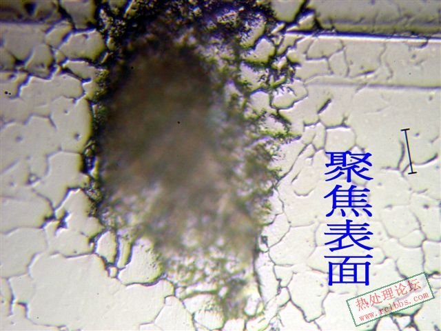 P1015549.jpg