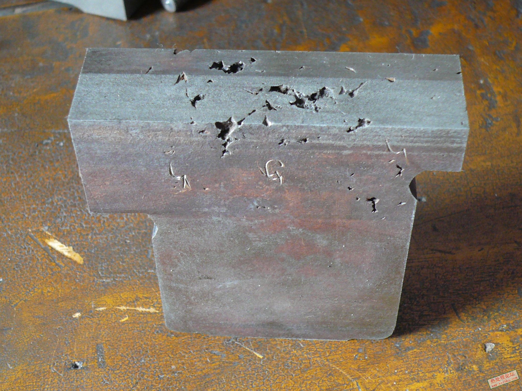 P1070023.JPG