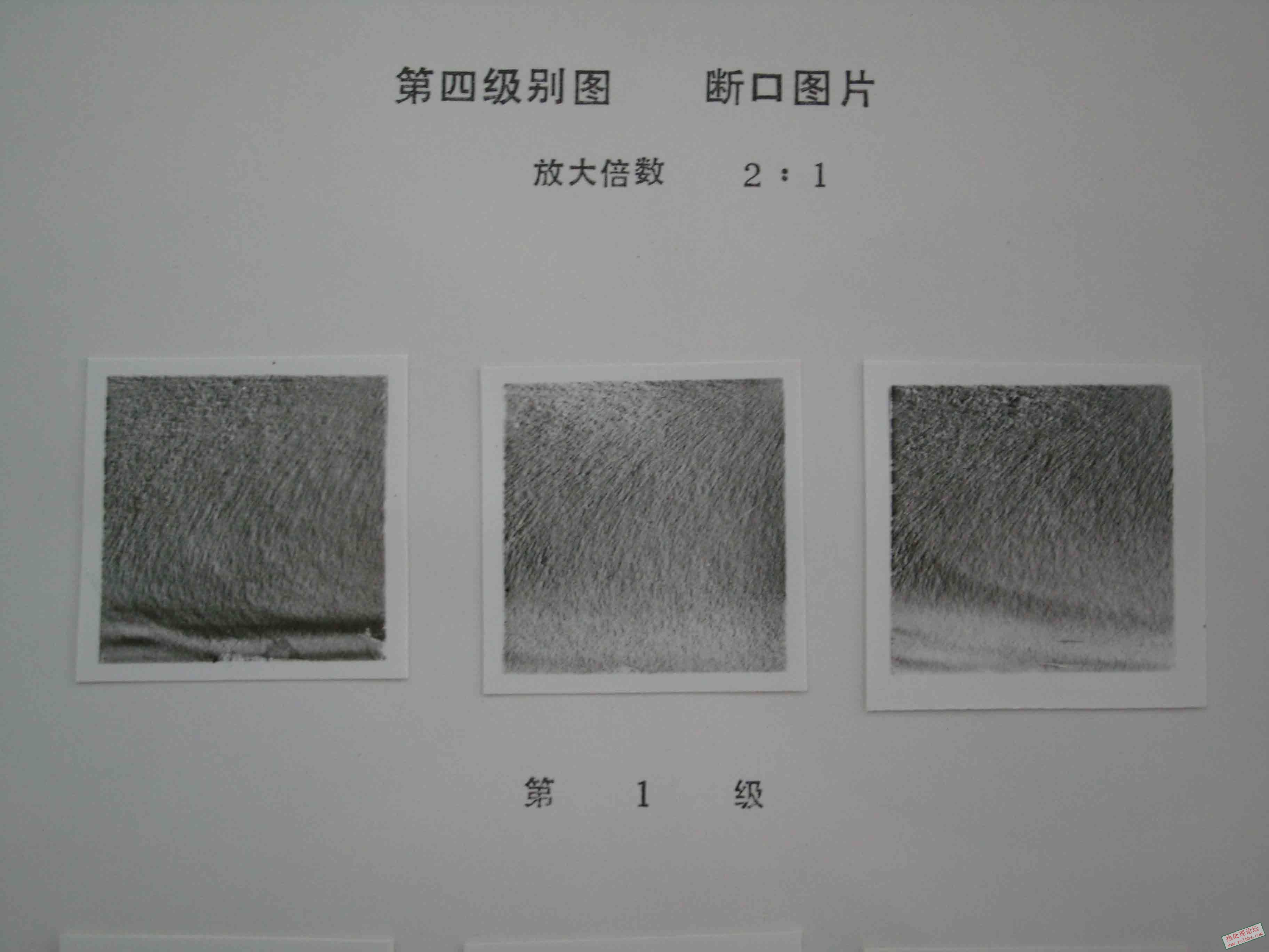 SNV11674.jpg