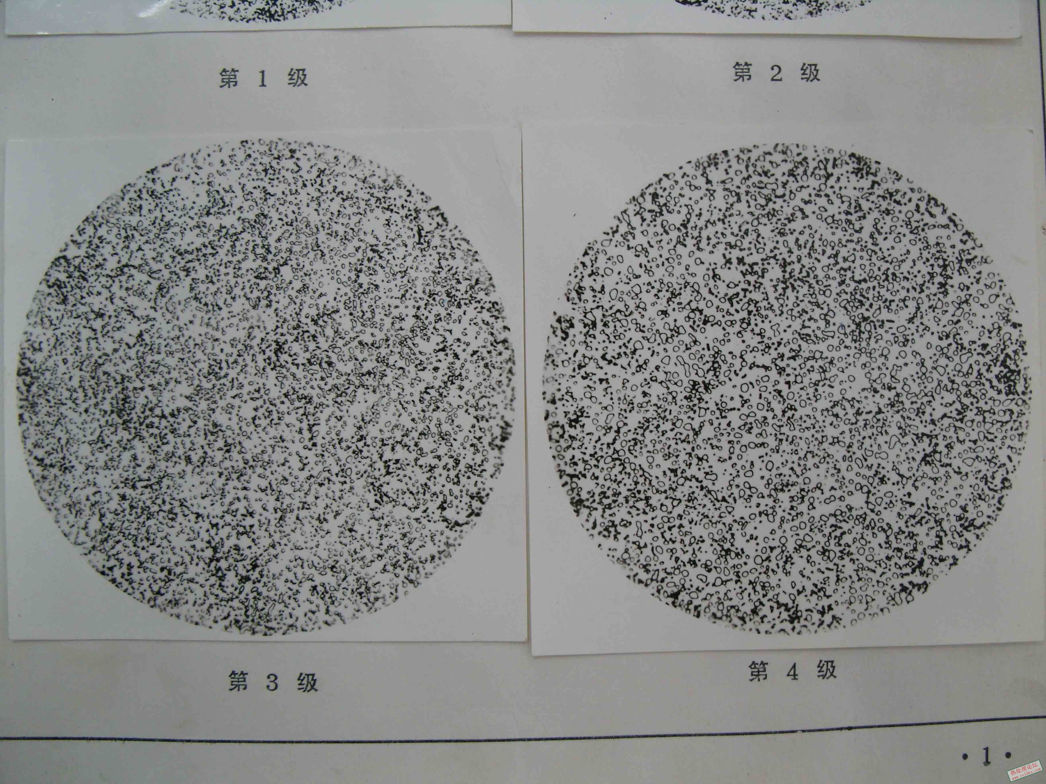 SNV11650.jpg