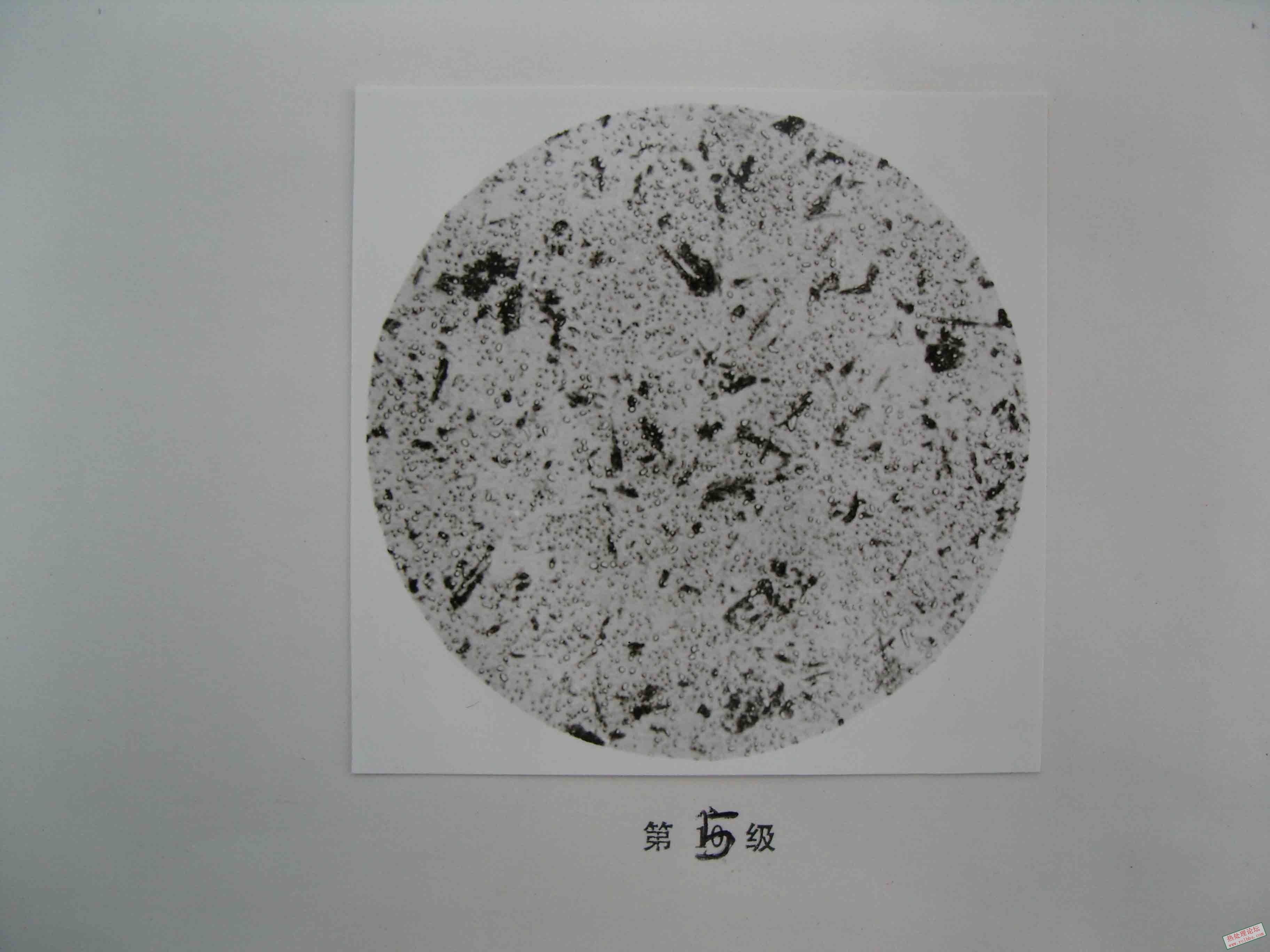 SNV11664.jpg