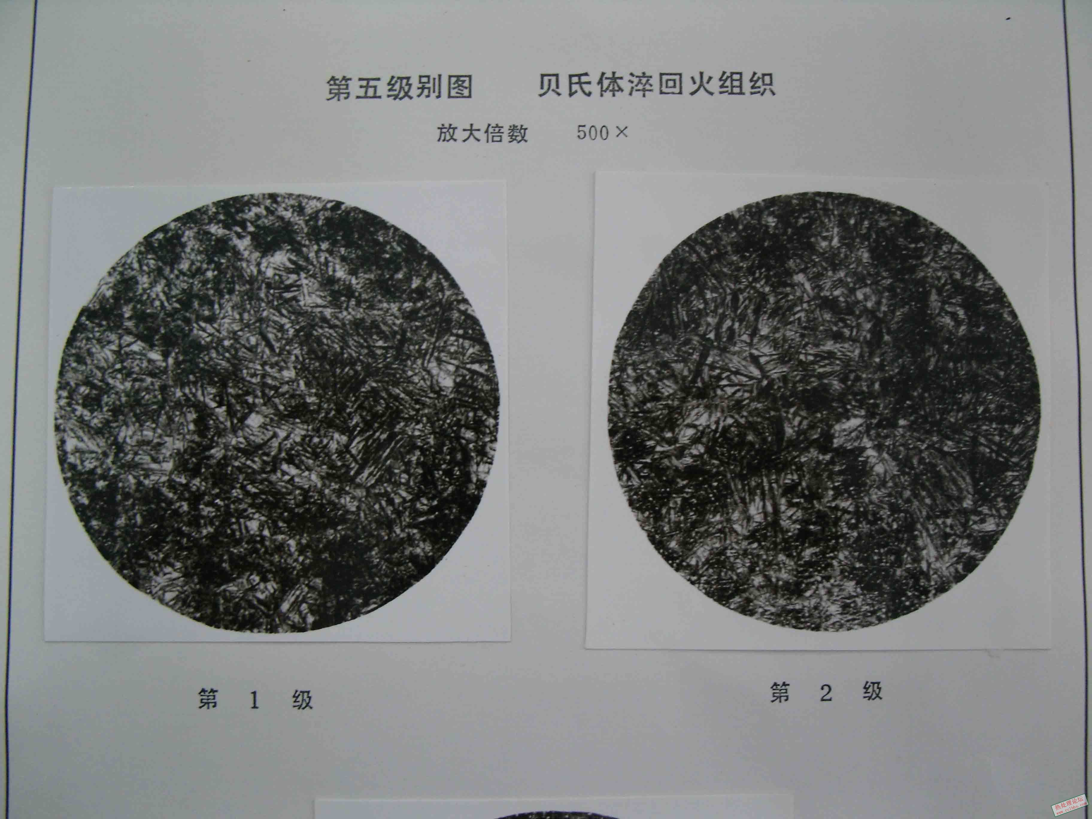 SNV11680.jpg