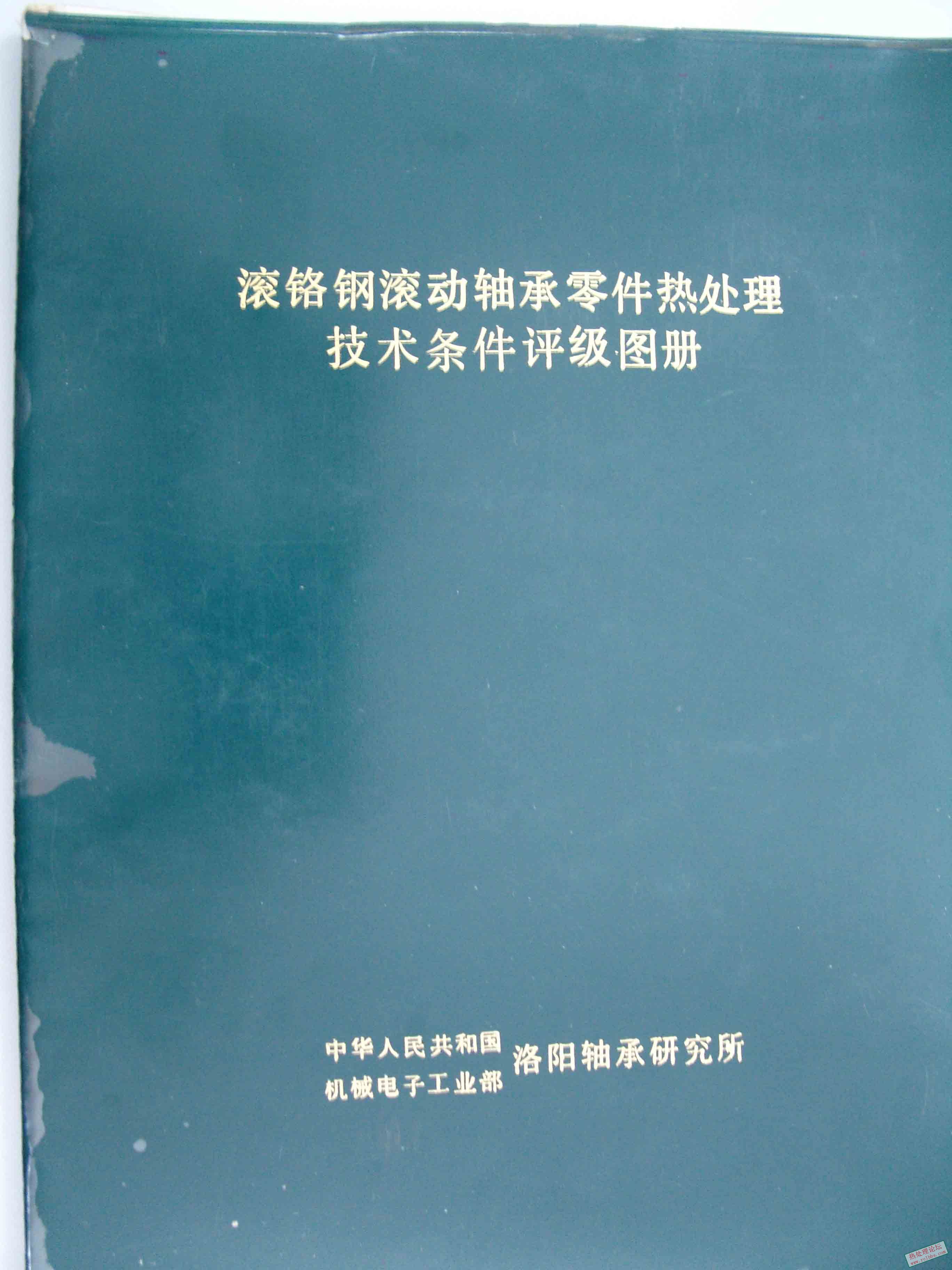 SNV11645.jpg