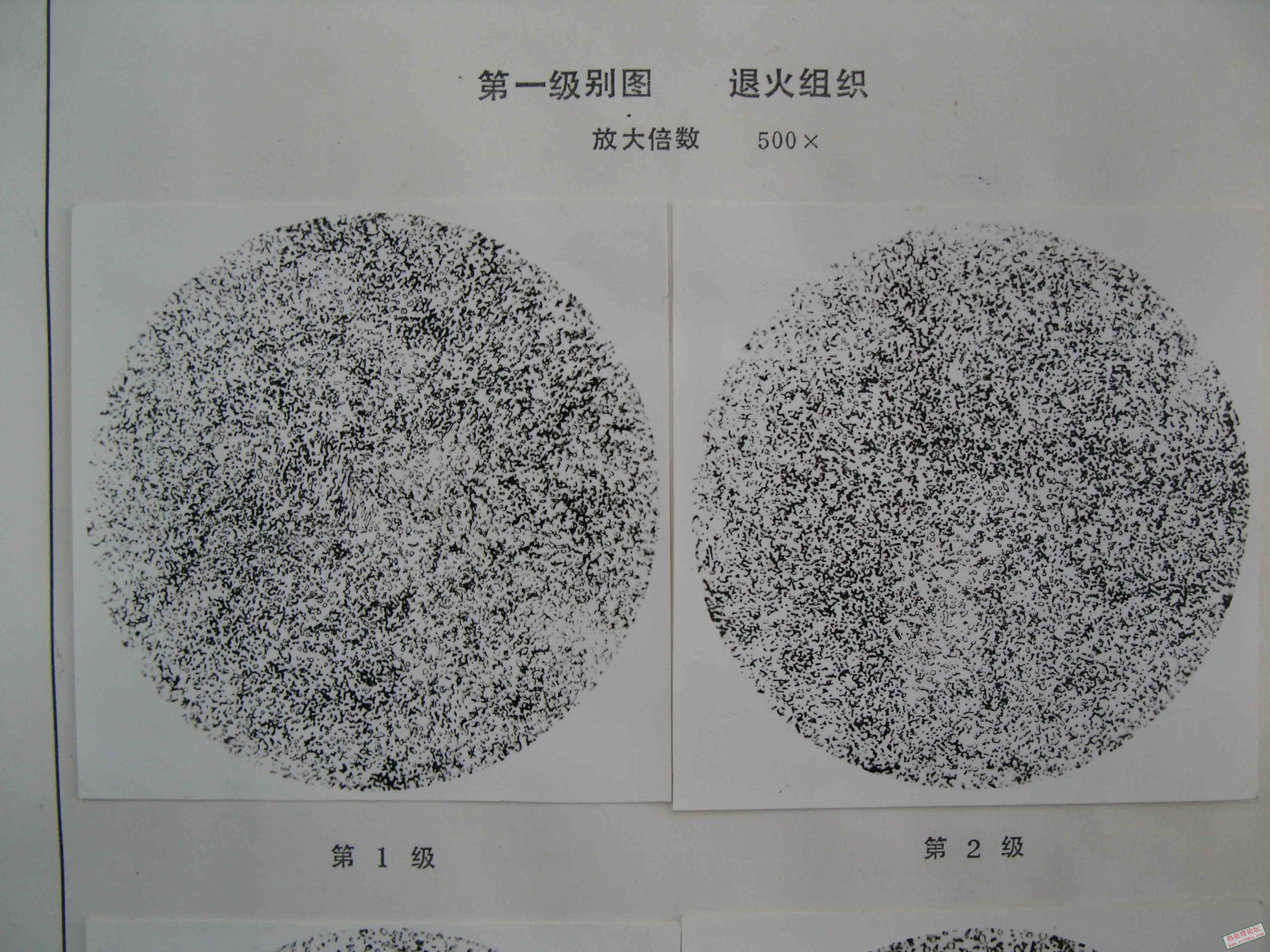 SNV11648.jpg