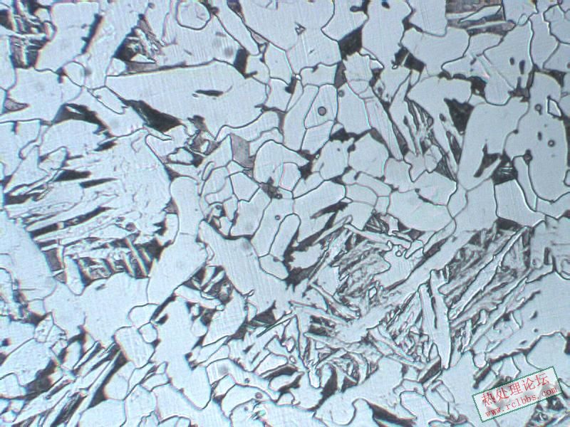 S44冲击10J组织100X2.JPG