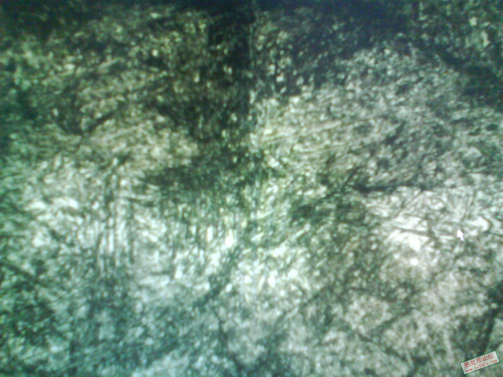 DSC00043.JPG